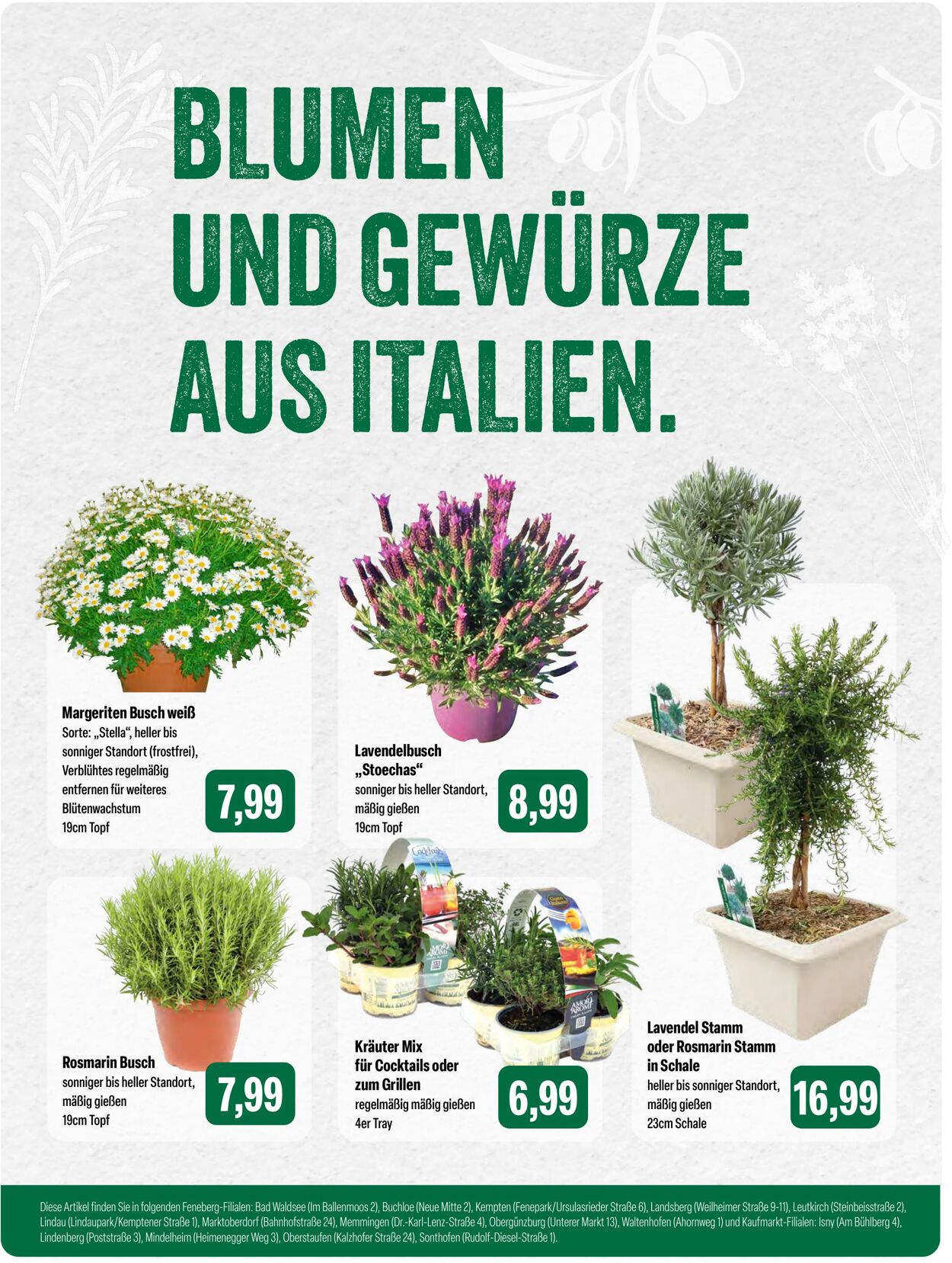 Prospekt Feneberg 06.04.2026 - 12.04.2026