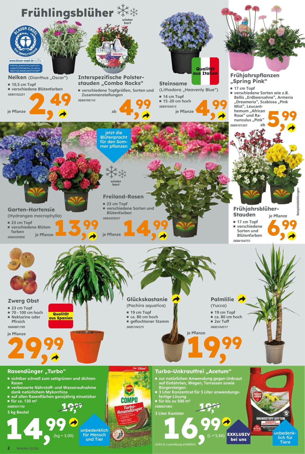 Prospekt Globus Baumarkt 22.03.2026 - 28.03.2026
