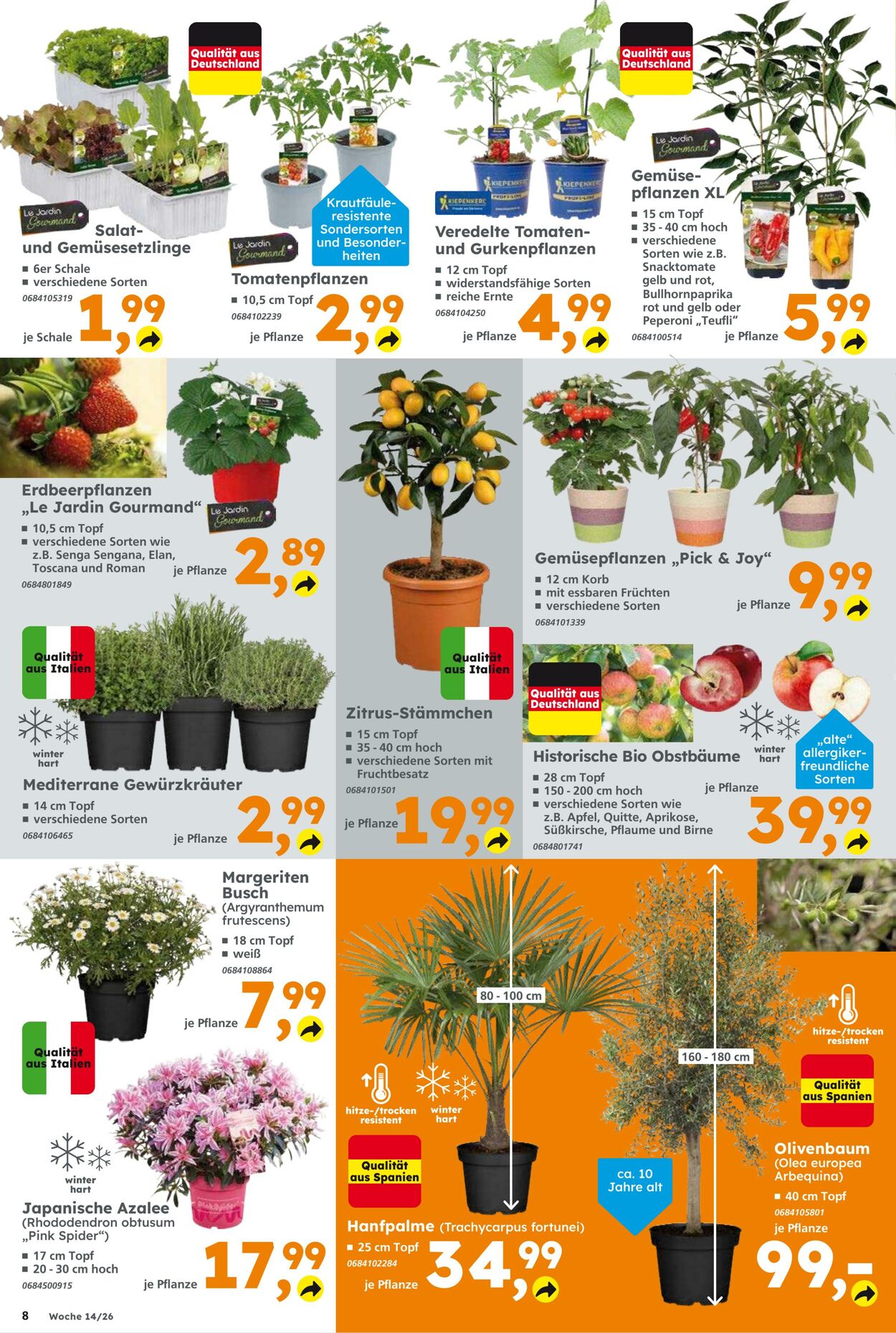 Prospekt Globus Baumarkt 29.03.2026 - 04.04.2026