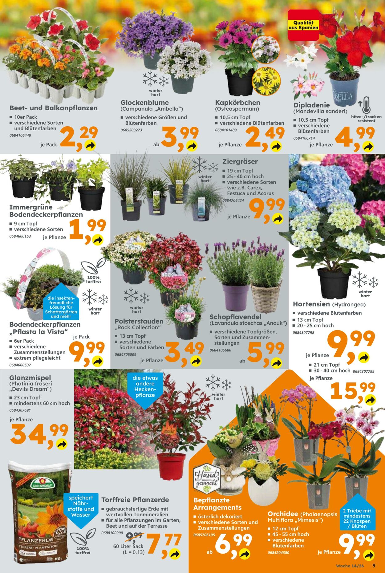 Prospekt Globus Baumarkt 29.03.2026 - 04.04.2026
