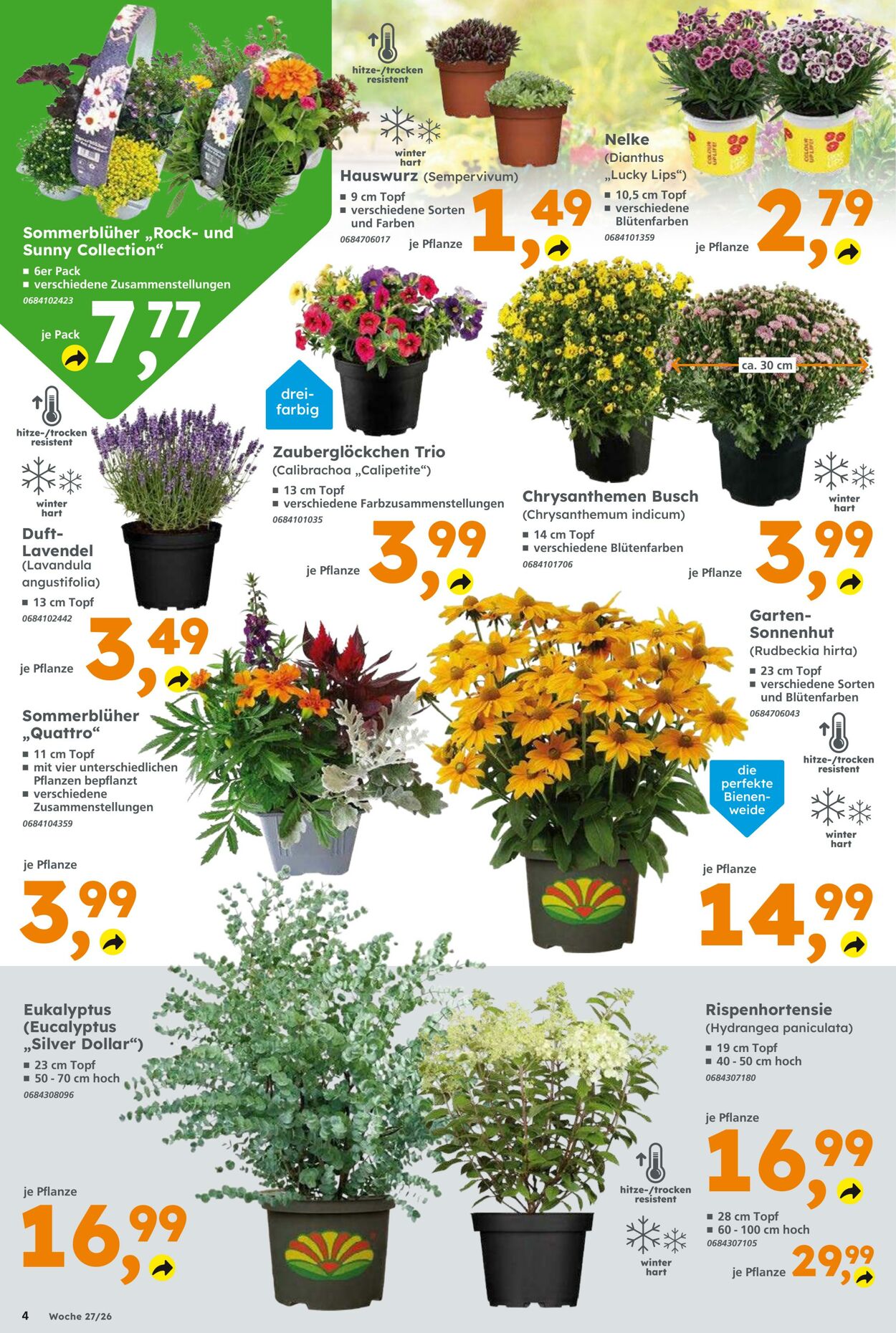 Prospekt Globus Baumarkt 28.06.2026 - 04.07.2026