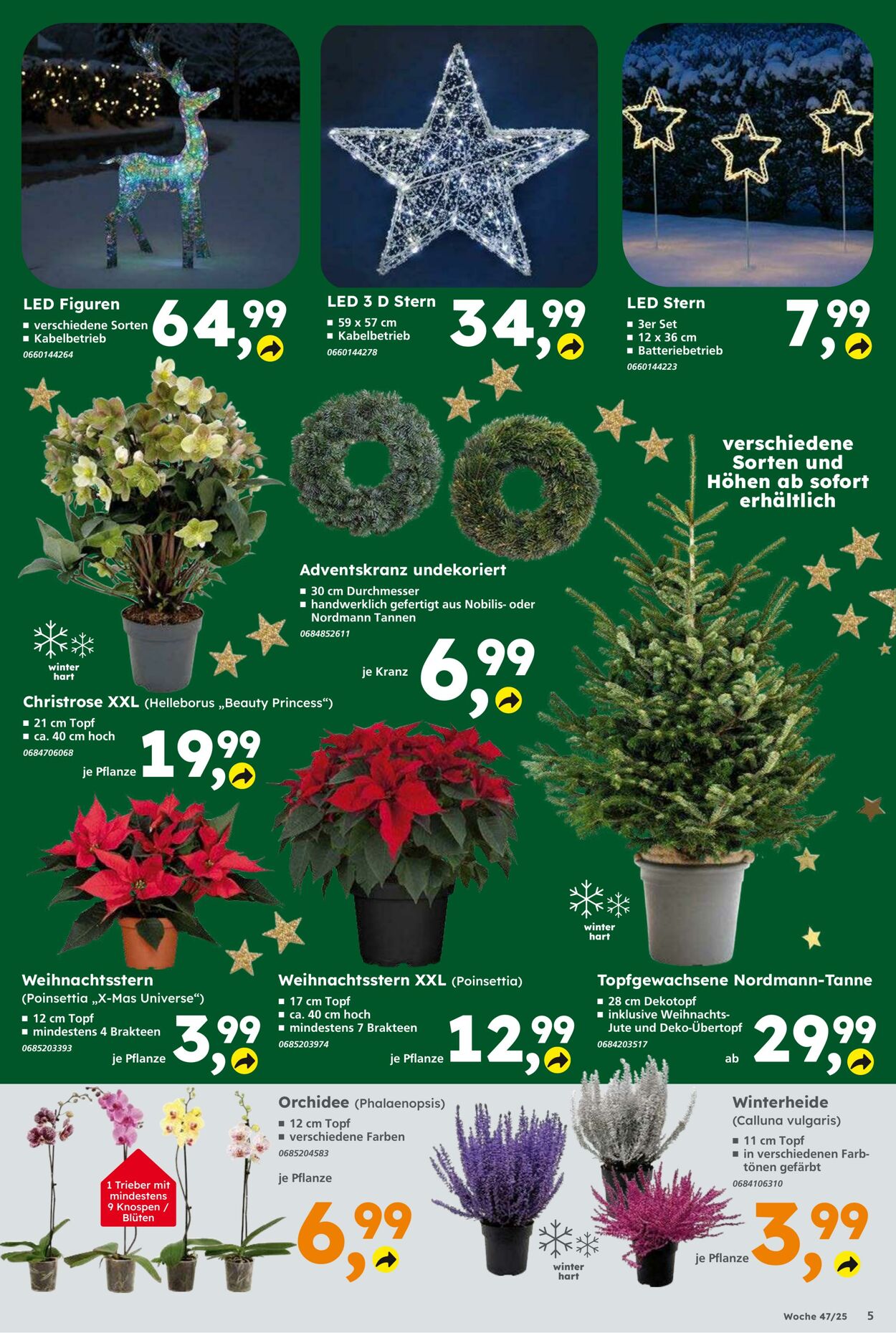 Prospekt Globus Baumarkt 16.11.2025 - 22.11.2025