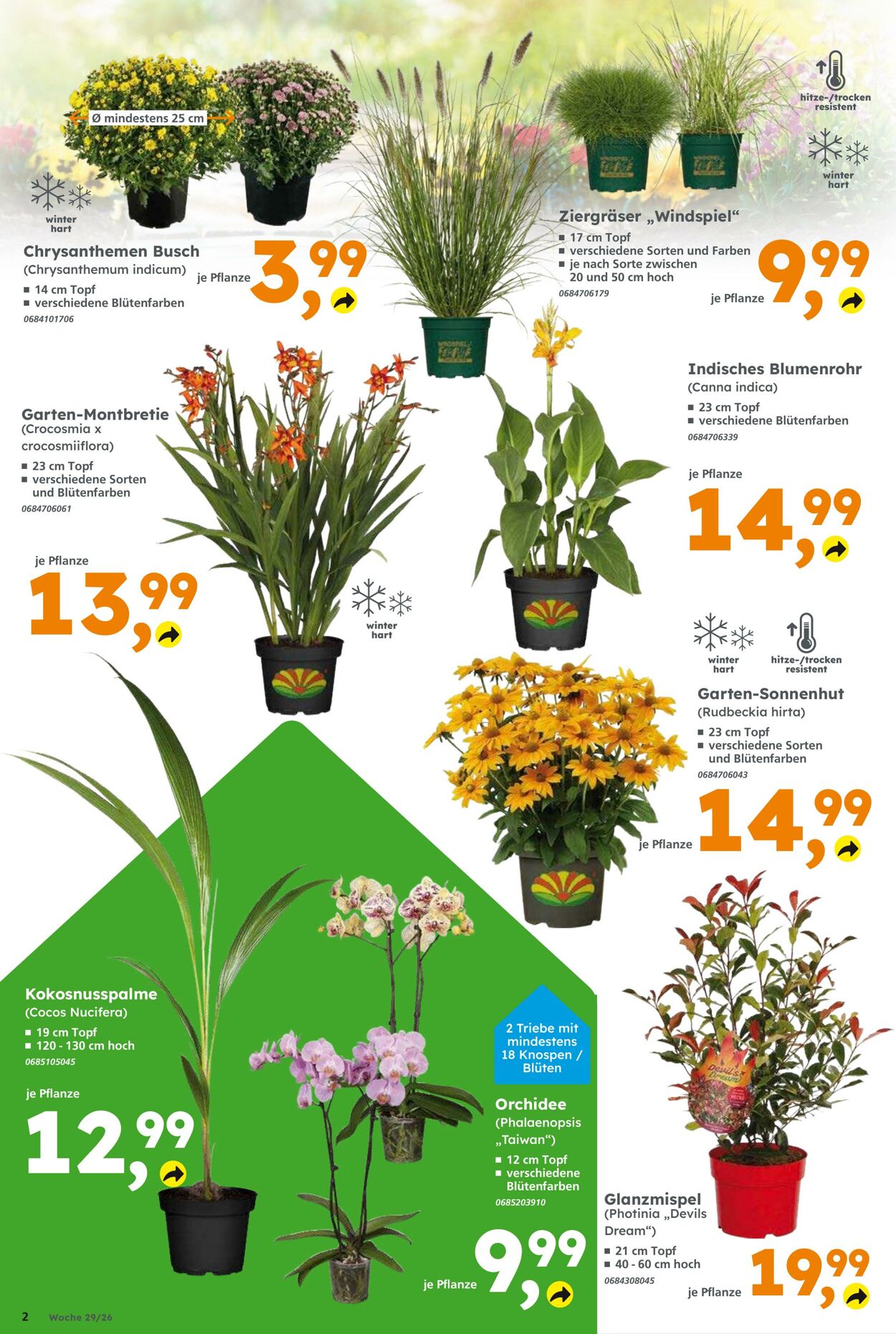 Prospekt Globus Baumarkt 12.07.2026 - 18.07.2026