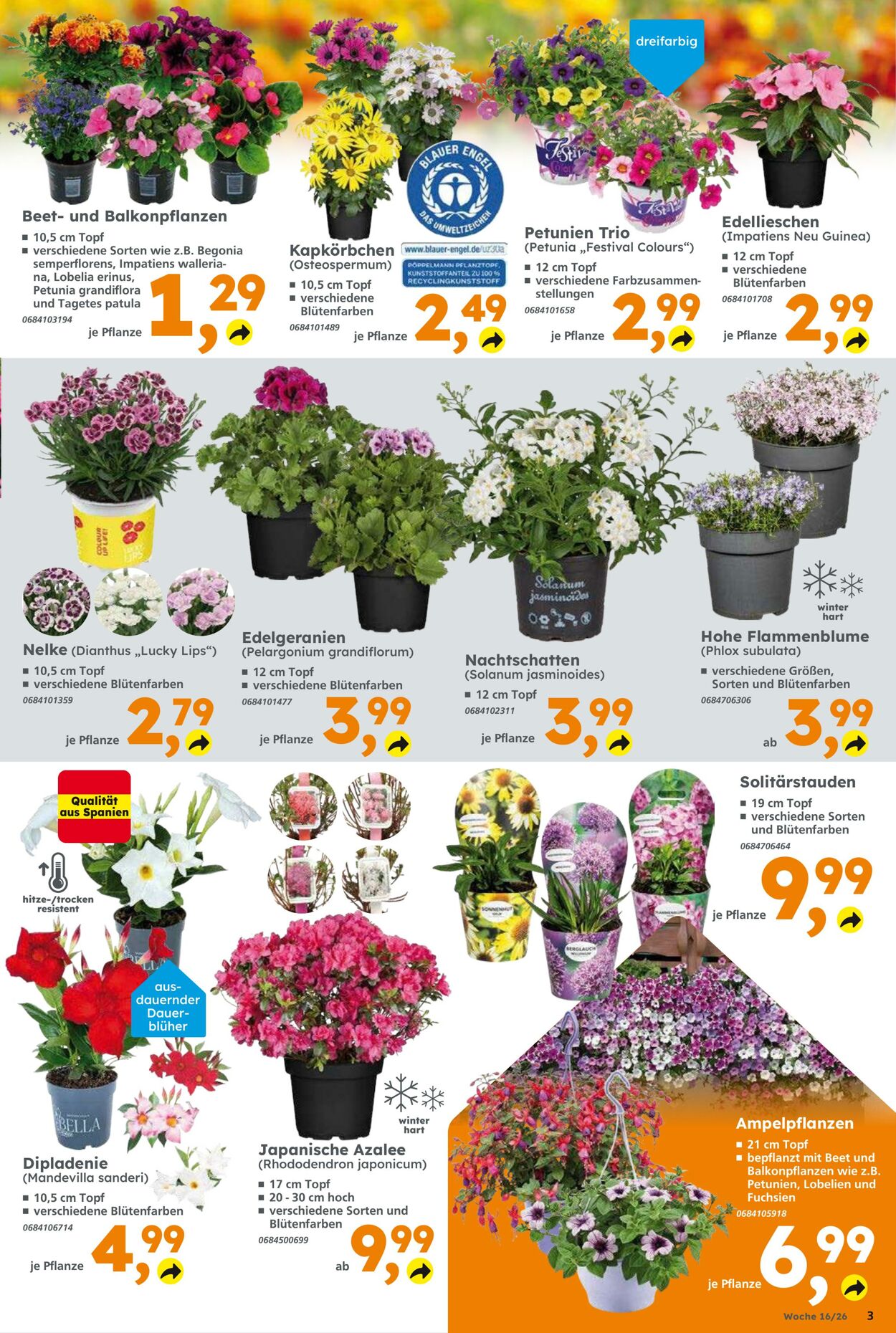 Prospekt Globus Baumarkt 12.04.2026 - 18.04.2026