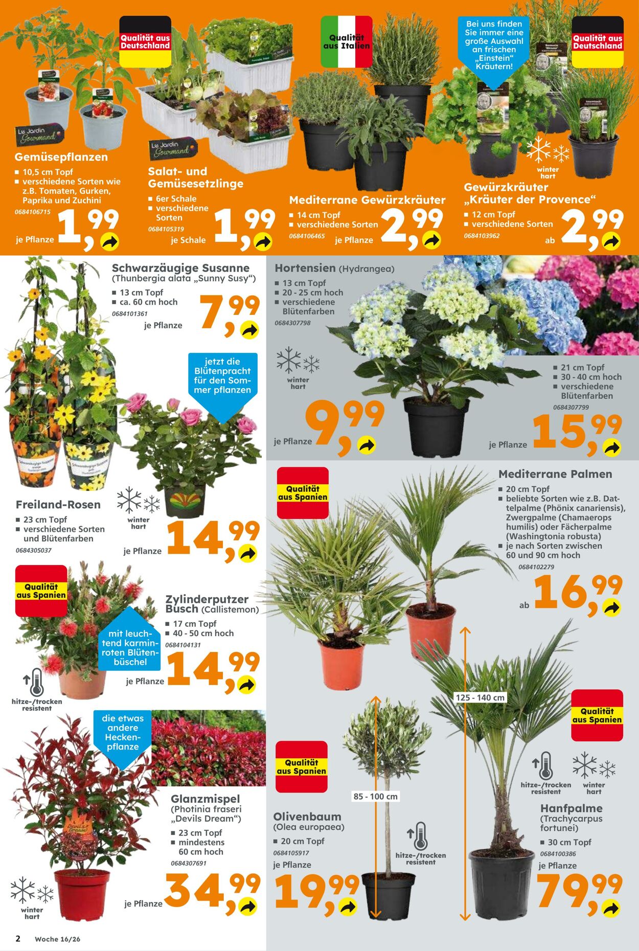 Prospekt Globus Baumarkt 12.04.2026 - 18.04.2026