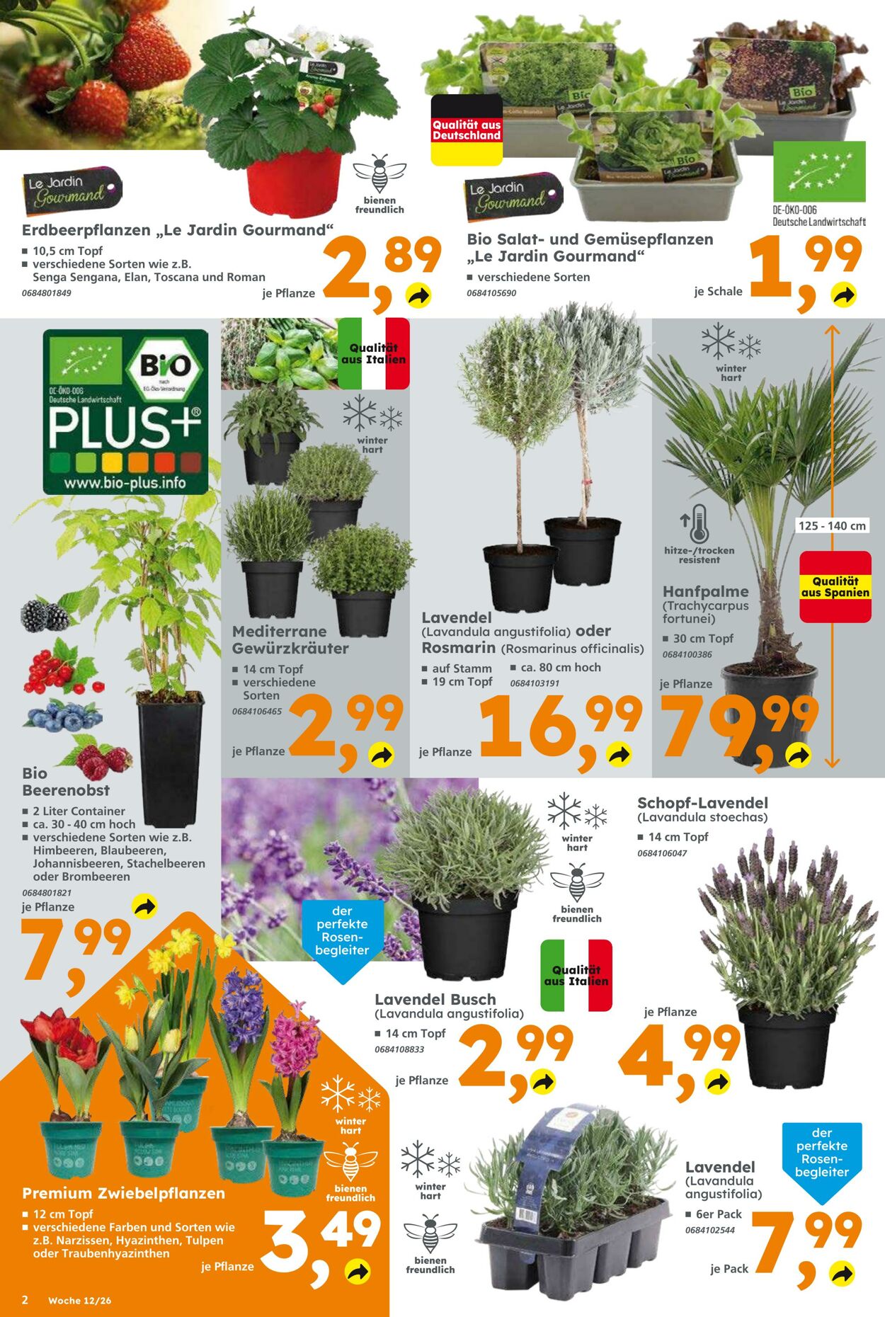 Prospekt Globus Baumarkt 15.03.2026 - 21.03.2026