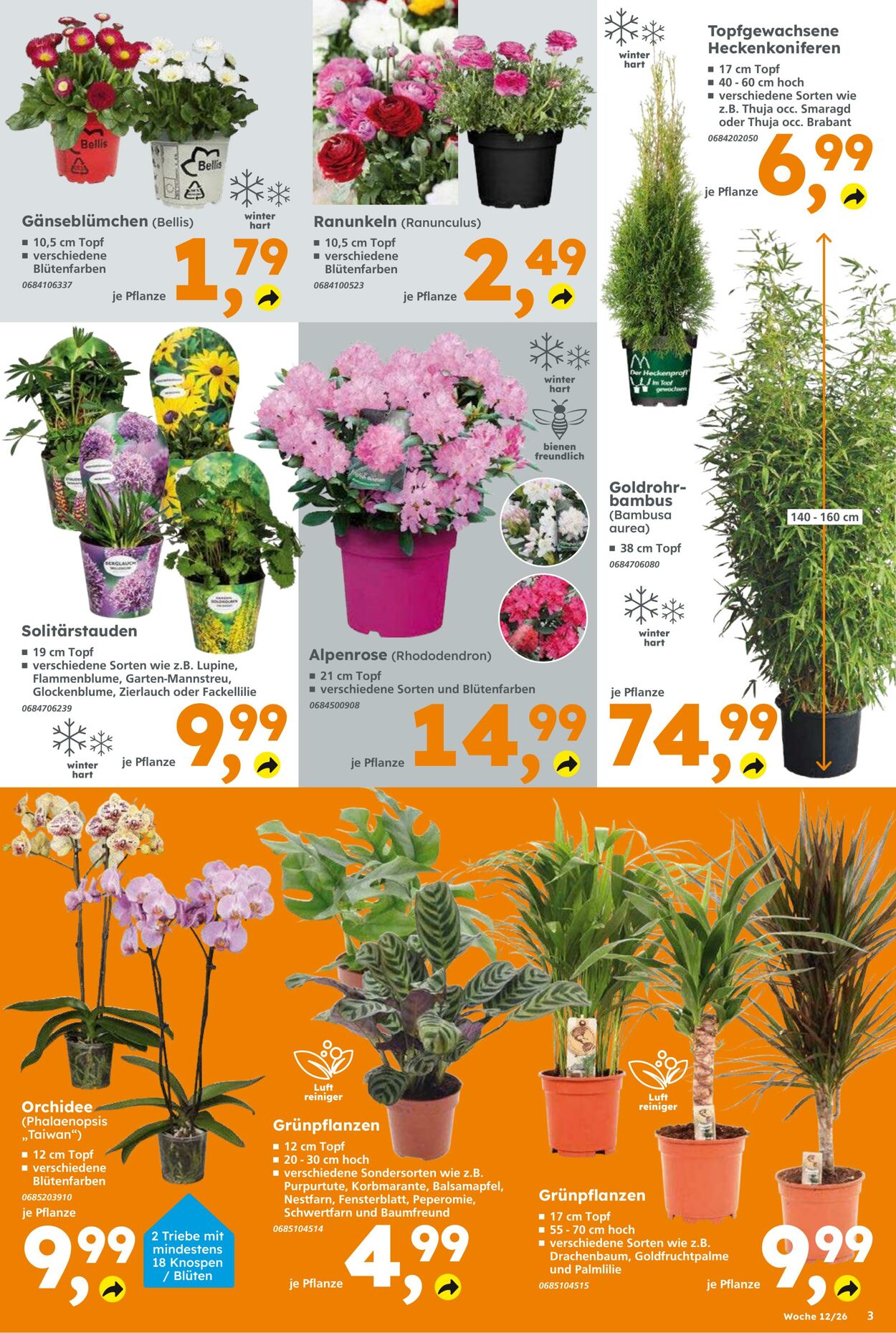 Prospekt Globus Baumarkt 15.03.2026 - 21.03.2026