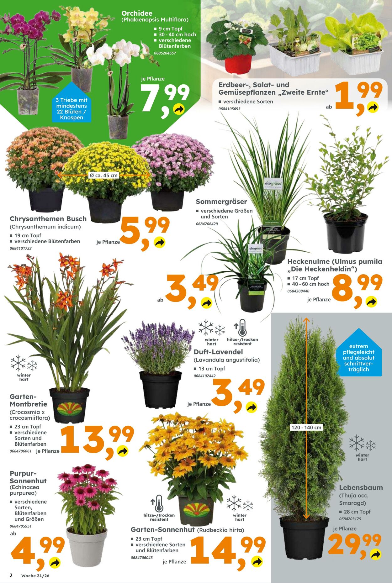 Prospekt Globus Baumarkt 26.07.2026 - 01.08.2026