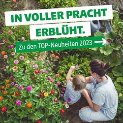 Prospekt Hagebaumarkt 29.09.2025 - 08.10.2025