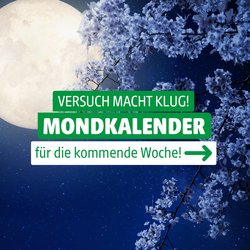 Prospekt Hagebaumarkt 27.09.2025 - 04.10.2025
