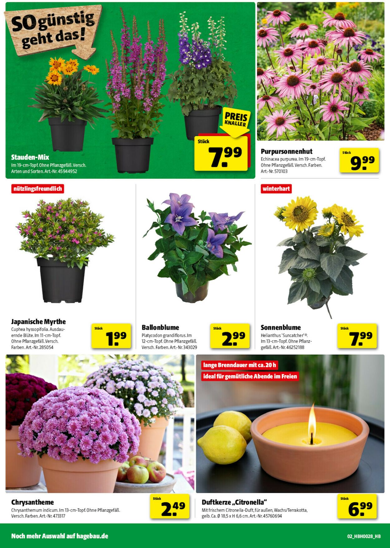 Prospekt Hagebaumarkt 05.07.2025 - 12.07.2025
