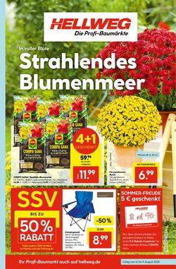 Prospekt Hellweg 11.08.2025 - 25.08.2025