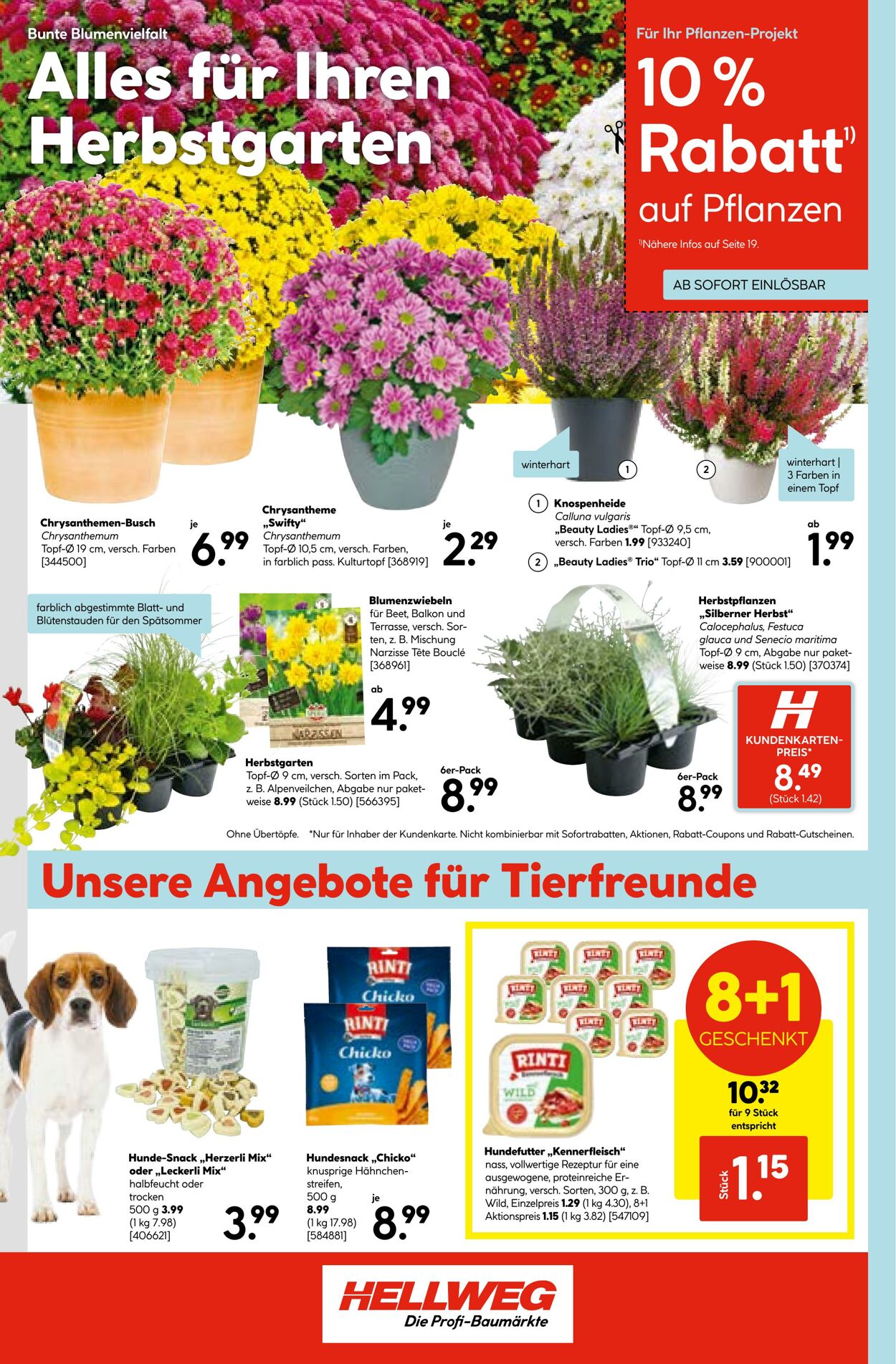 Prospekt Hellweg 12.09.2025 - 26.09.2025
