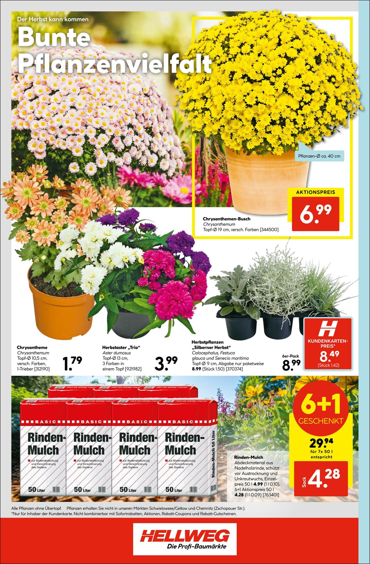 Prospekt Hellweg 18.08.2025 - 23.08.2025