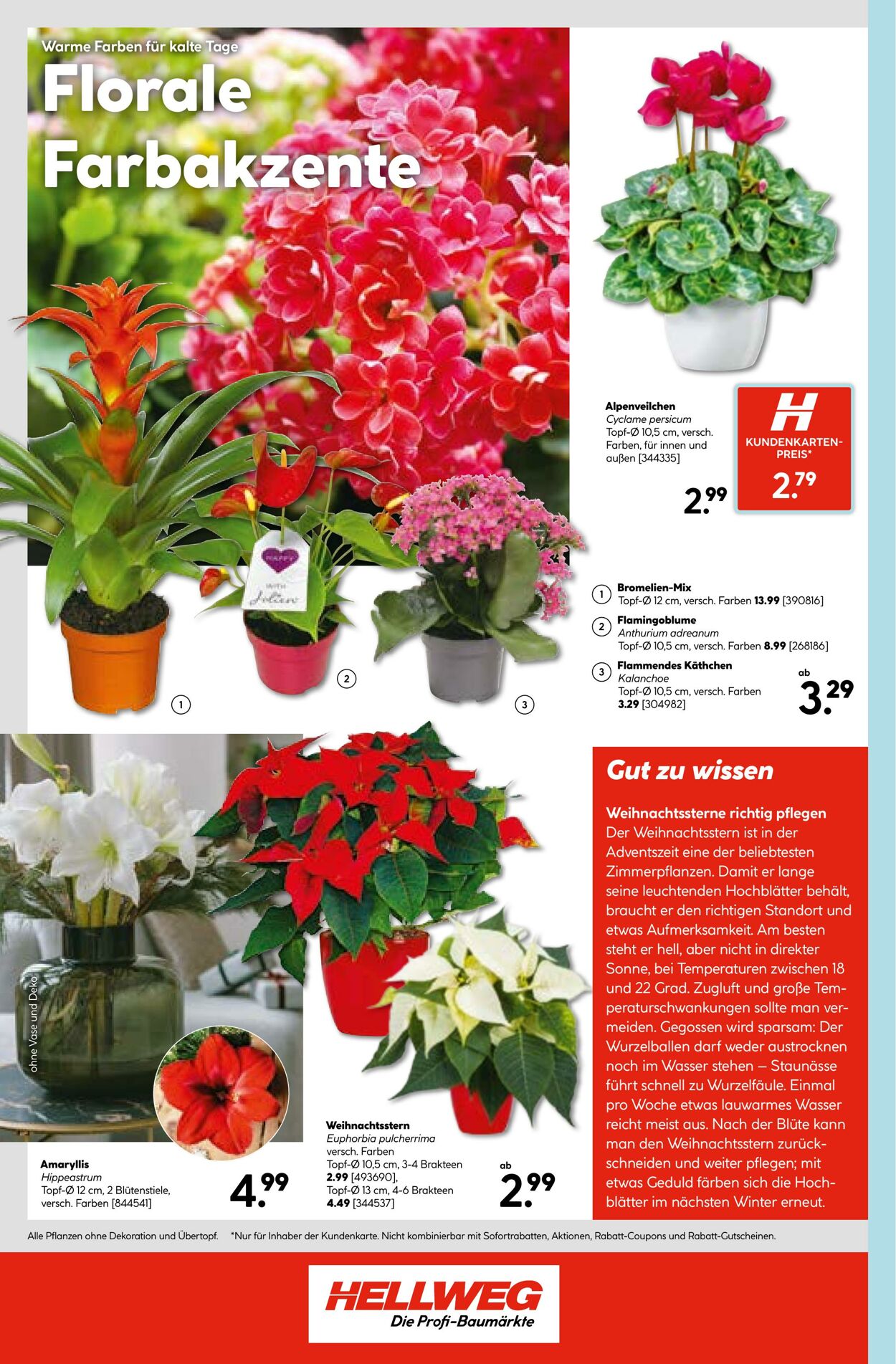 Prospekt Hellweg 27.10.2025 - 03.11.2025