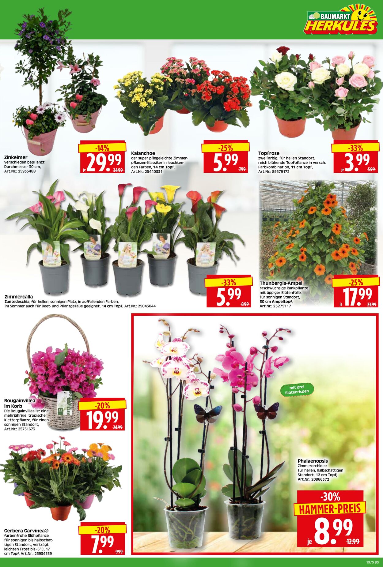 Prospekt Herkules 27.04.2026 - 02.05.2026