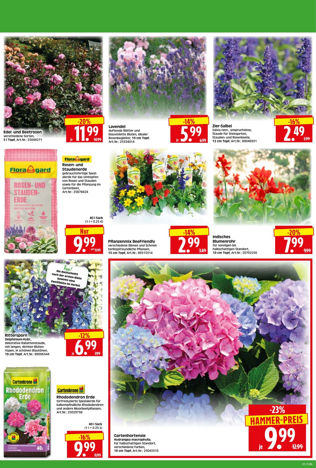 Prospekt Herkules 18.05.2026 - 23.05.2026