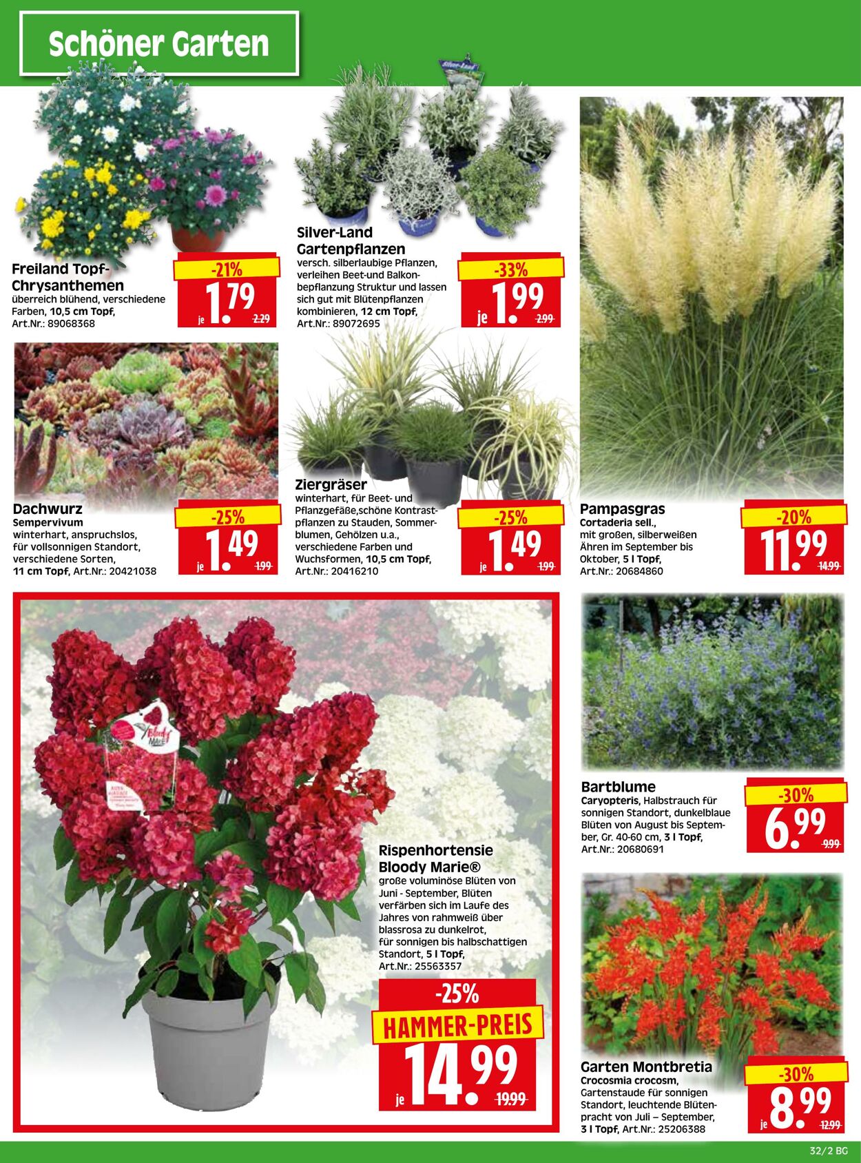 Prospekt Herkules 04.08.2025 - 09.08.2025