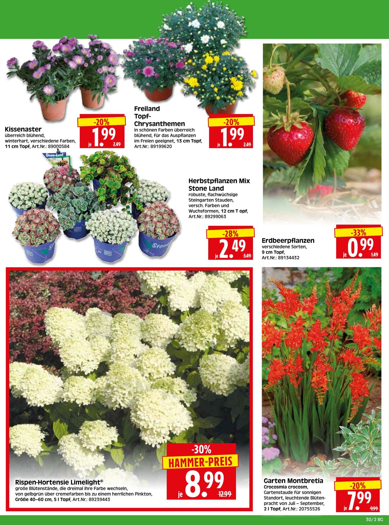 Prospekt Herkules 13.07.2026 - 18.07.2026