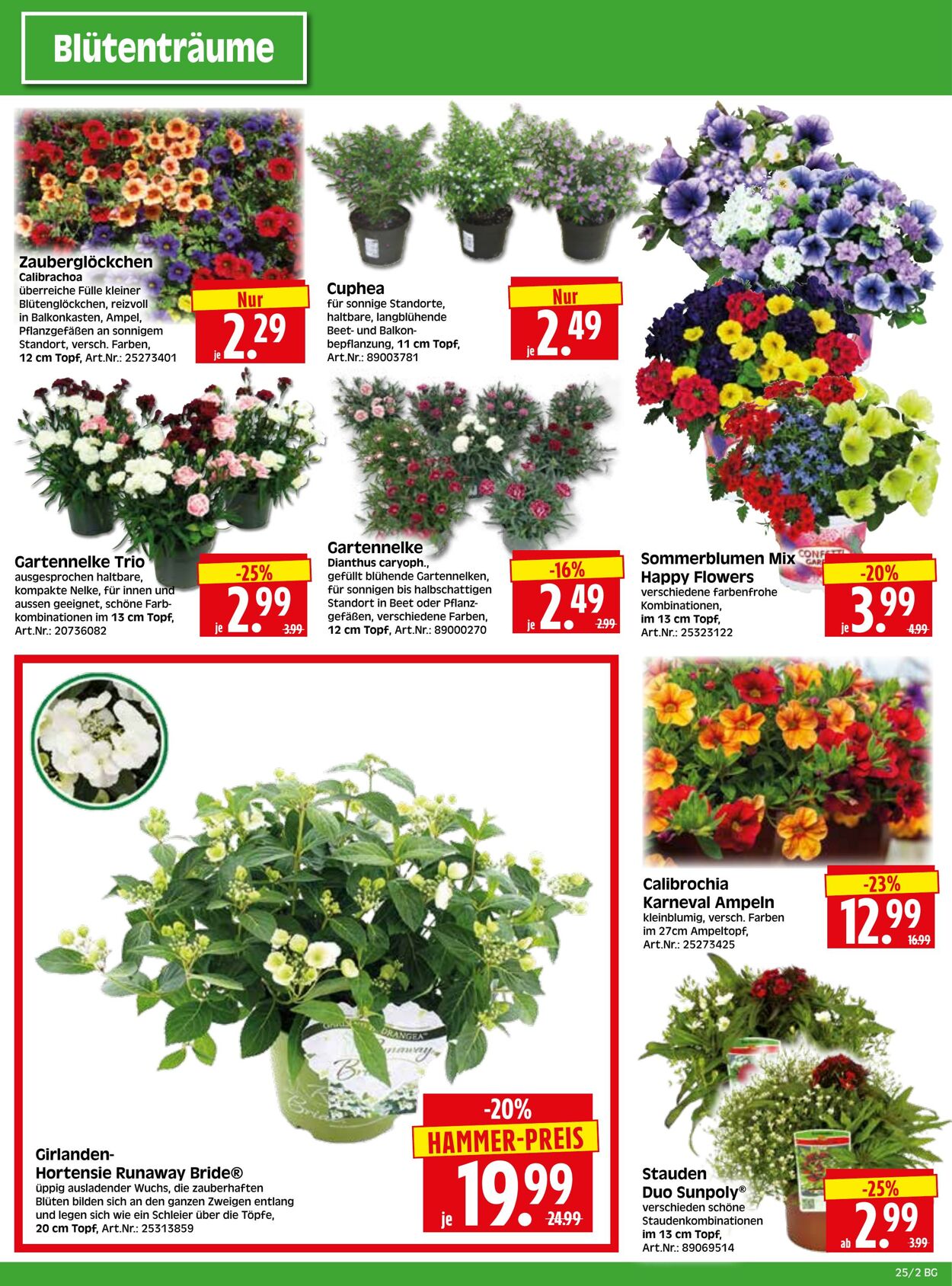Prospekt Herkules 09.06.2025 - 14.06.2025