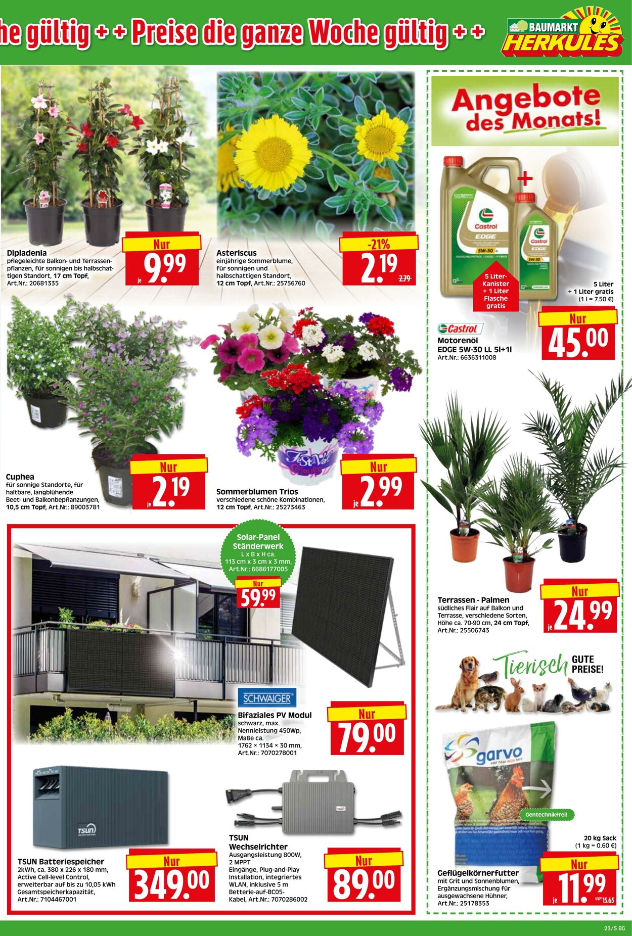 Prospekt Herkules 25.05.2026 - 30.05.2026