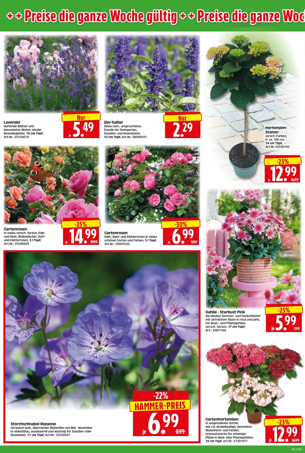 Prospekt Herkules 25.05.2026 - 30.05.2026