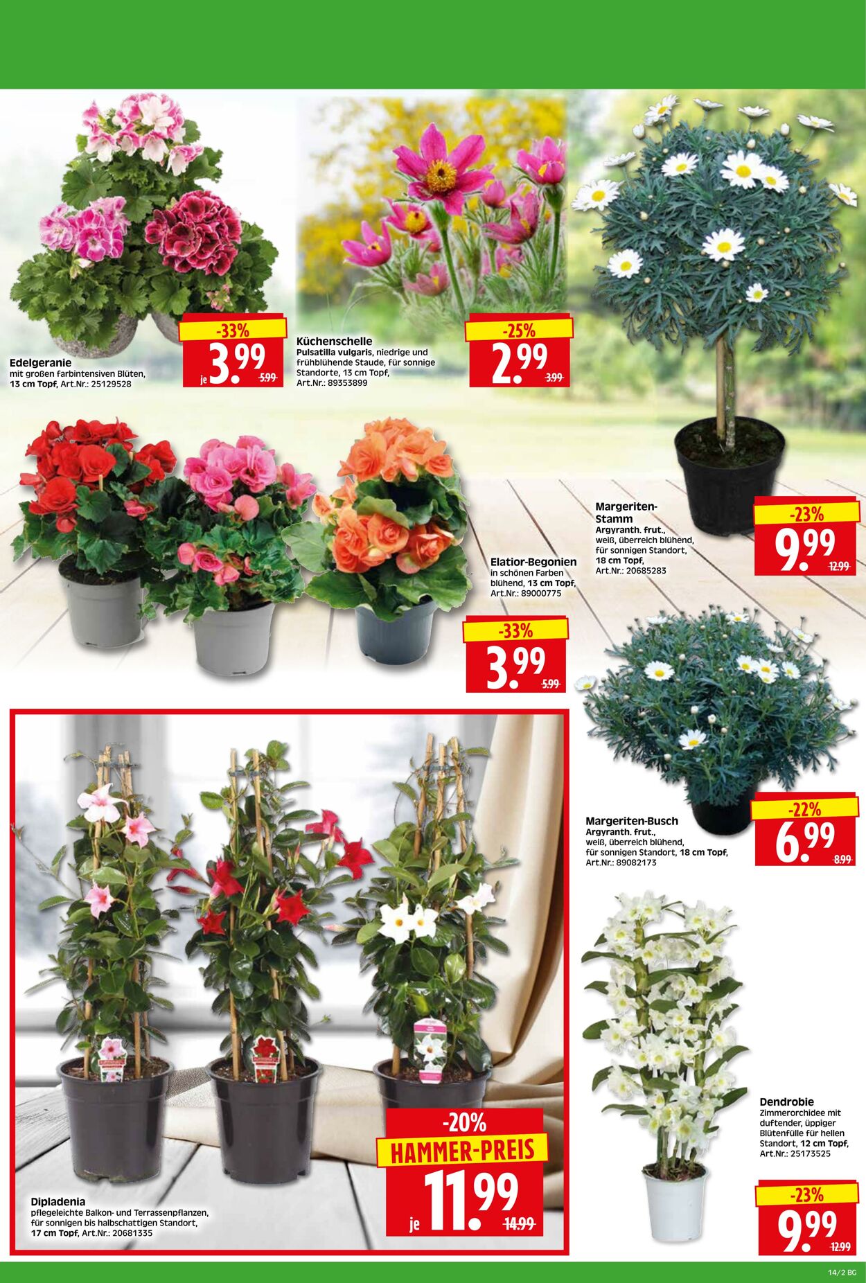 Prospekt Herkules 23.03.2026 - 28.03.2026