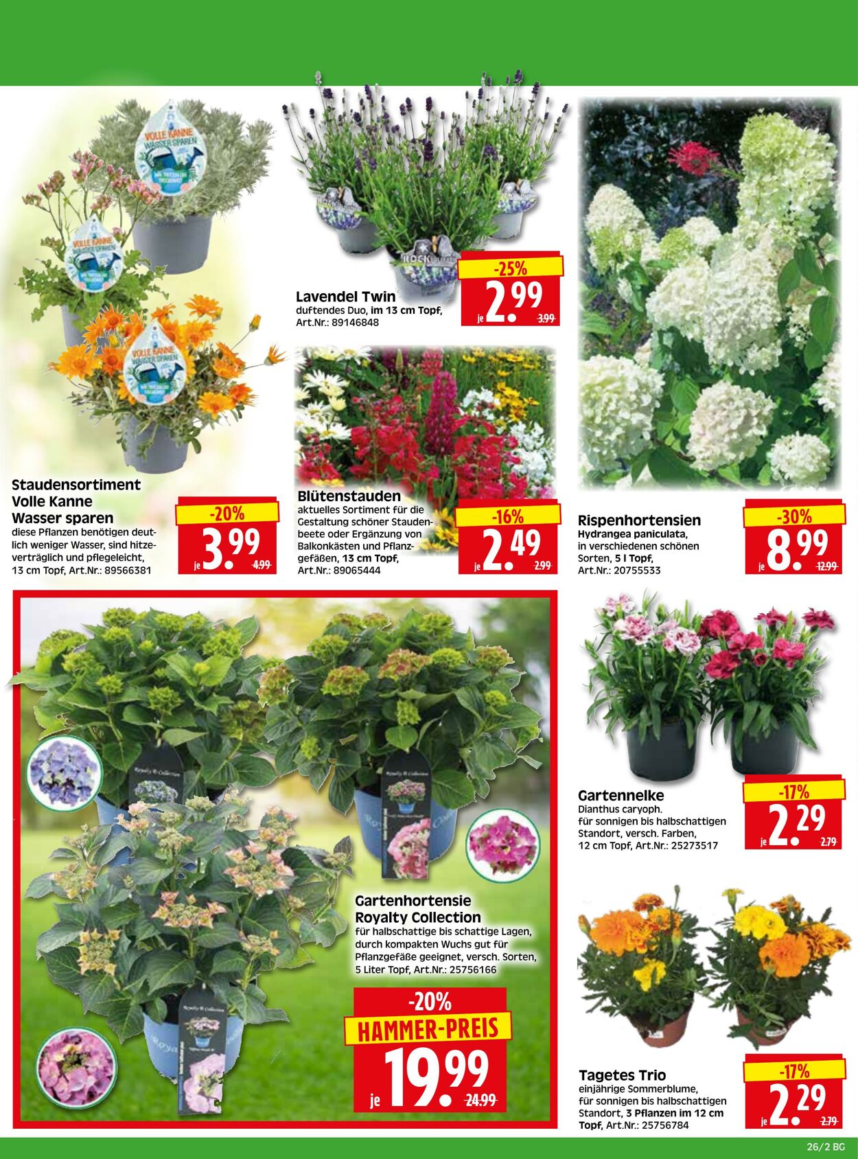 Prospekt Herkules 15.06.2026 - 20.06.2026