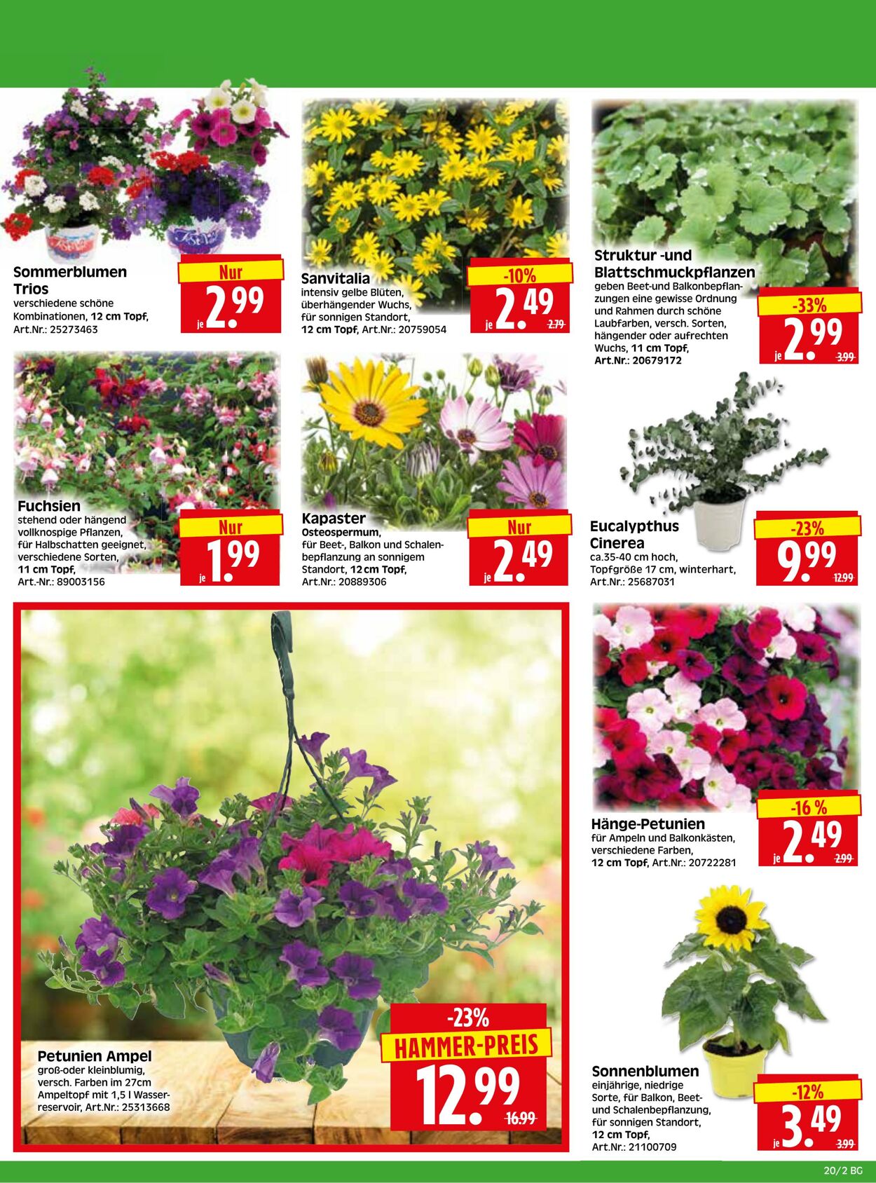 Prospekt Herkules 04.05.2026 - 09.05.2026