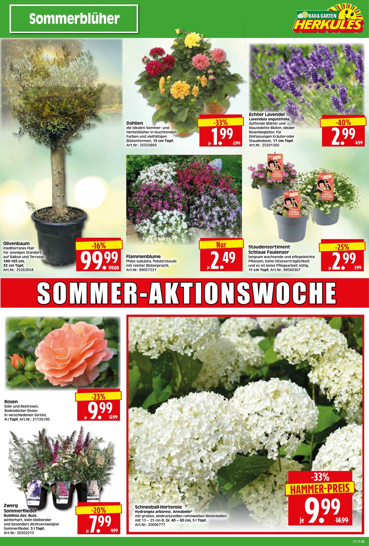 Prospekt Herkules 30.06.2025 - 05.07.2025