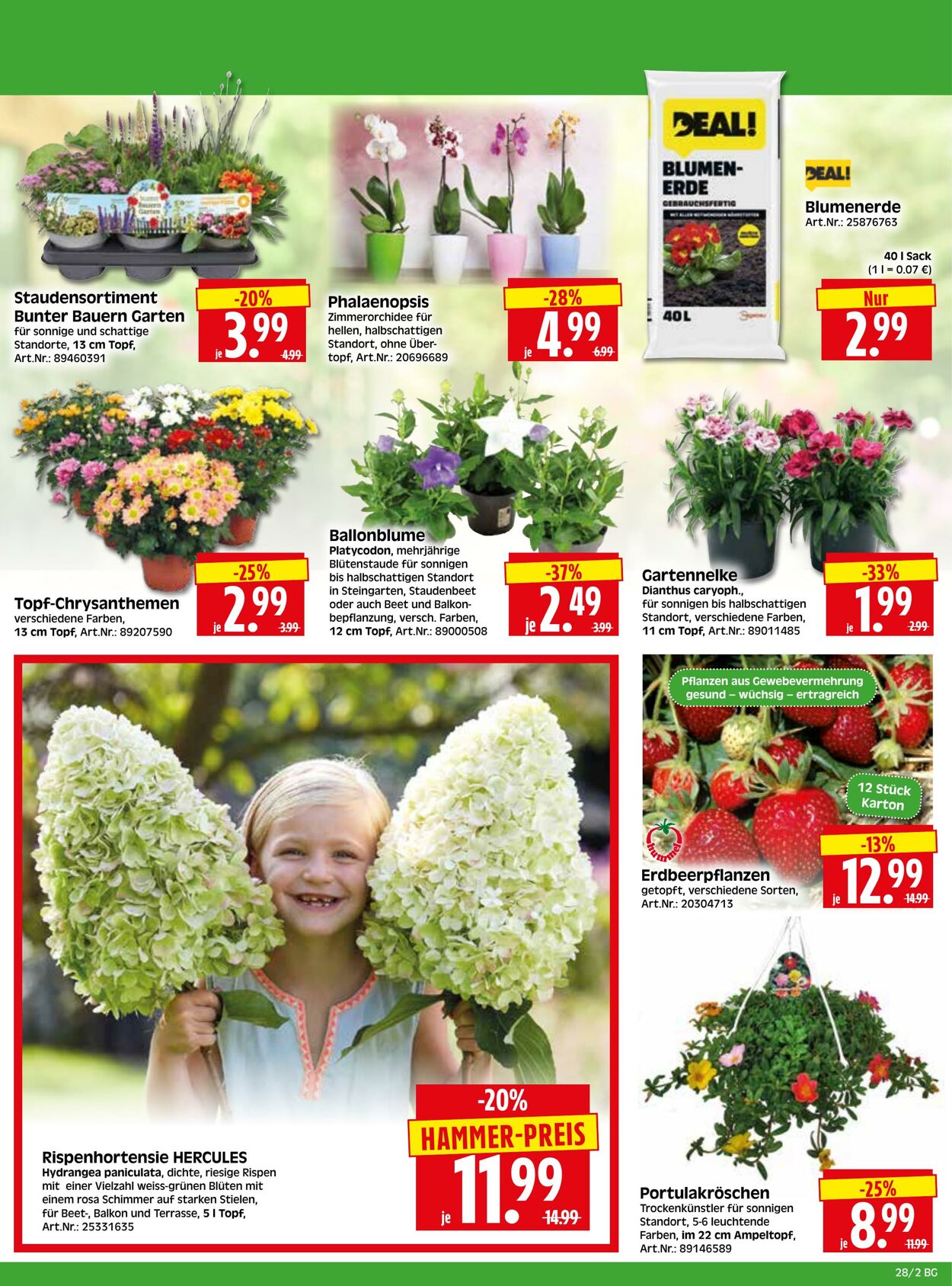 Prospekt Herkules 29.06.2026 - 04.07.2026