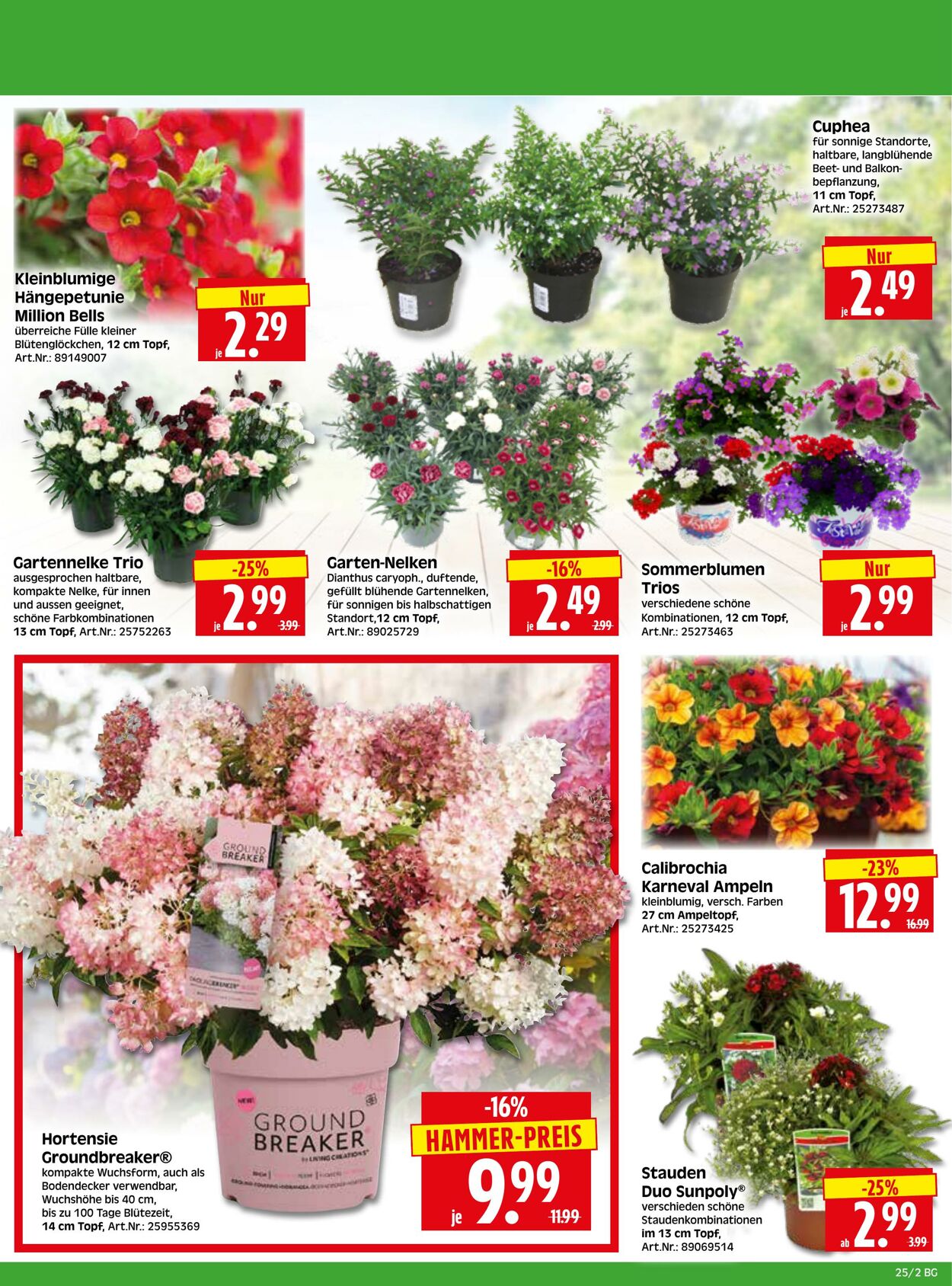 Prospekt Herkules 08.06.2026 - 13.06.2026