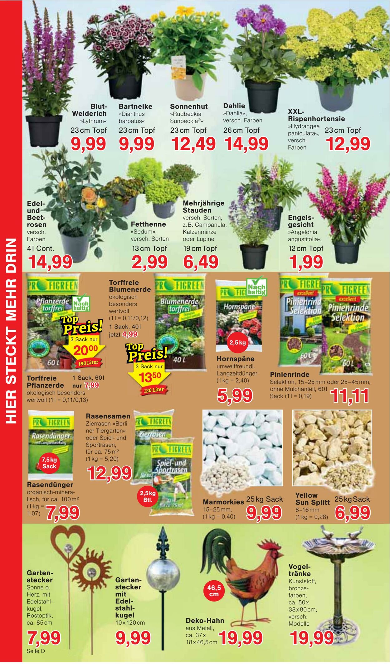Prospekt Jawoll 30.06.2025 - 05.07.2025