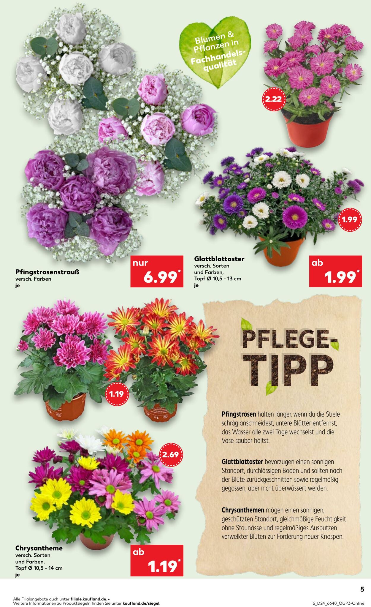 Prospekt Kaufland 12.06.2025 - 18.06.2025