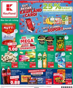 Prospekt Kaufland 30.01.2025 - 05.02.2025