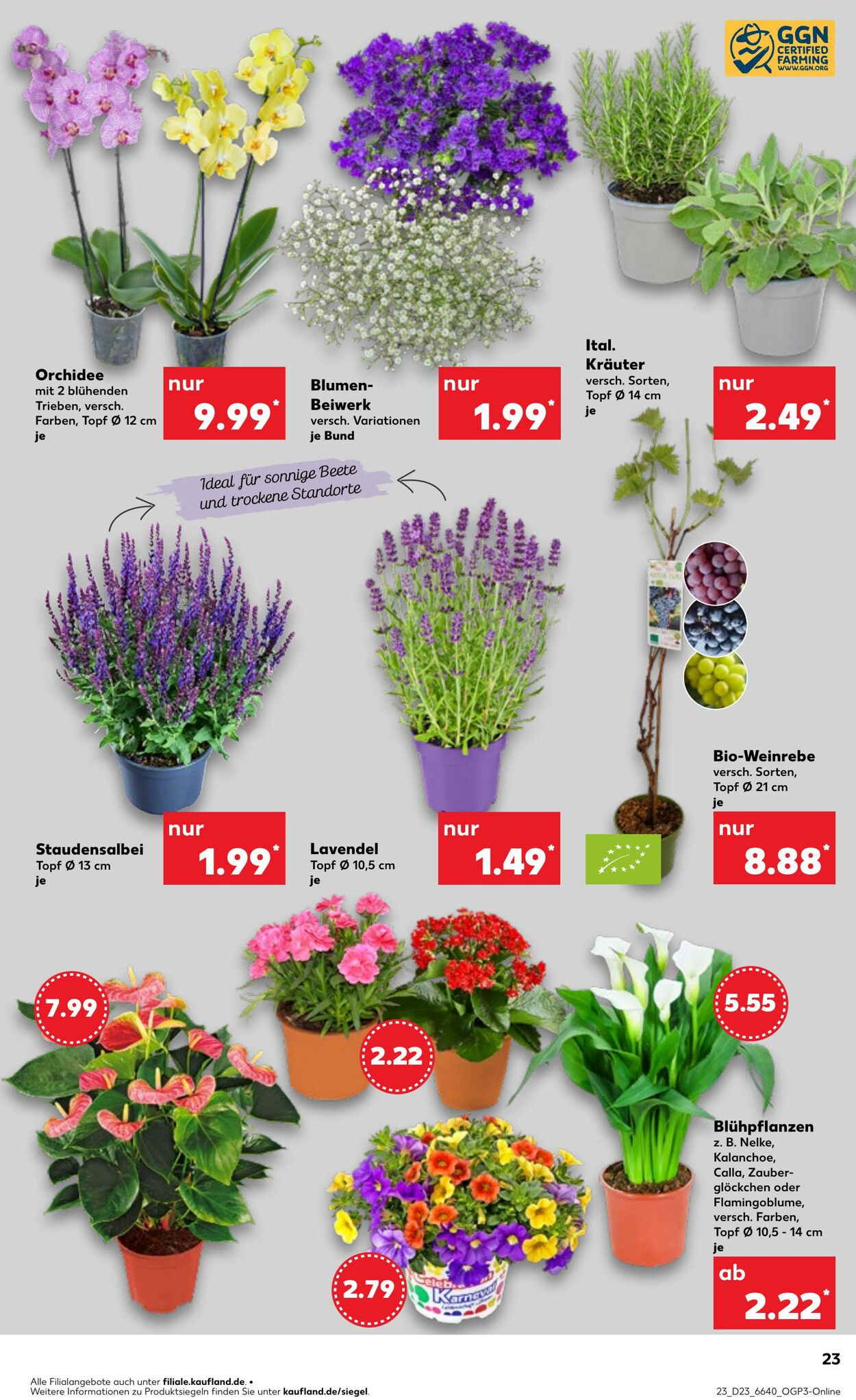 Prospekt Kaufland 05.06.2025 - 11.06.2025