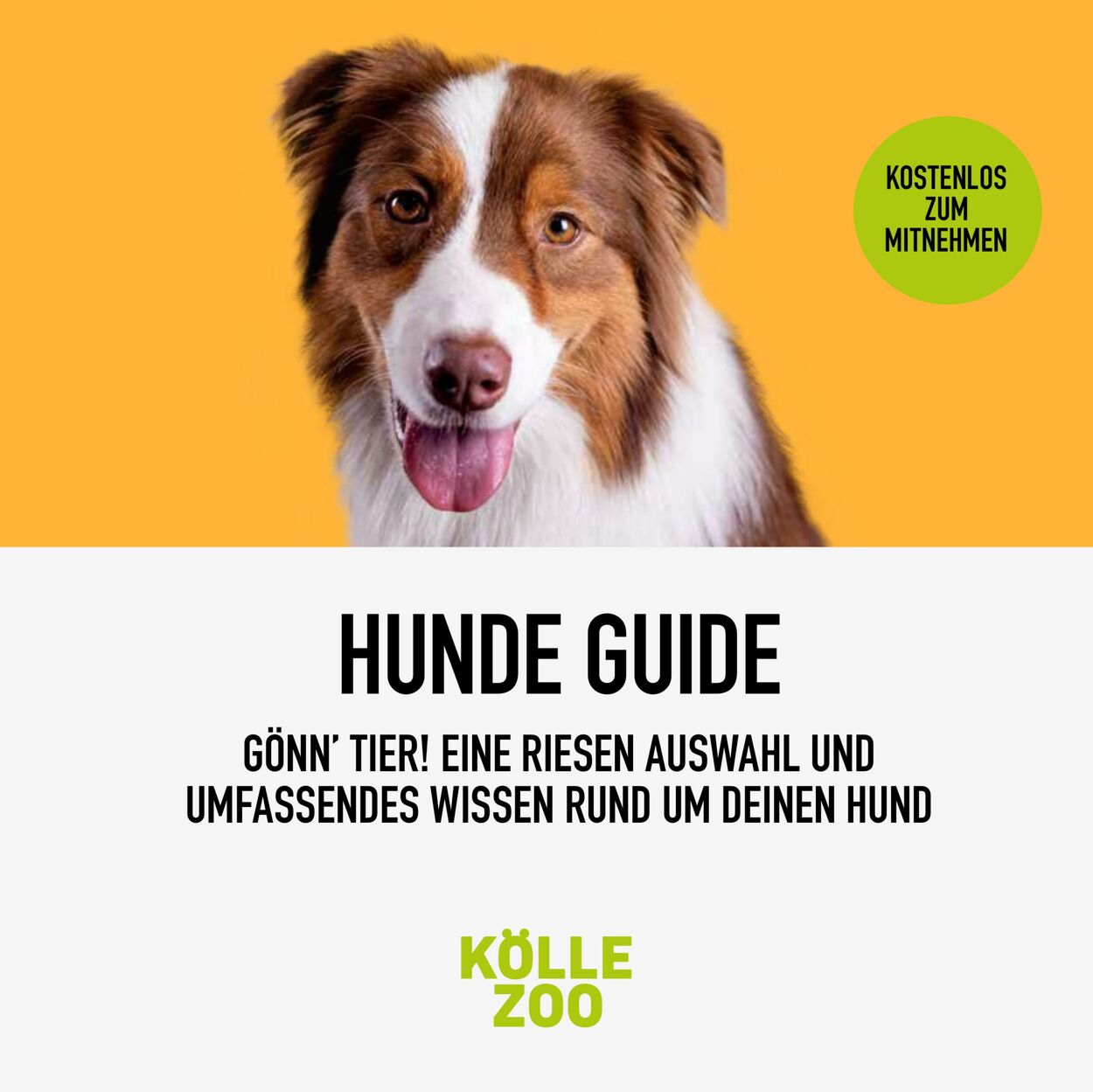 Prospekt Kölle Zoo 27.07.2022 - 31.10.2022