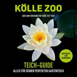 Prospekt Kölle Zoo 21.03.2022-30.09.2022