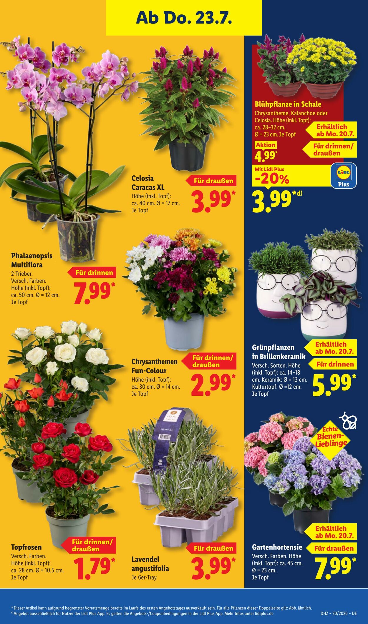 Prospekt Lidl 20.07.2026 - 25.07.2026