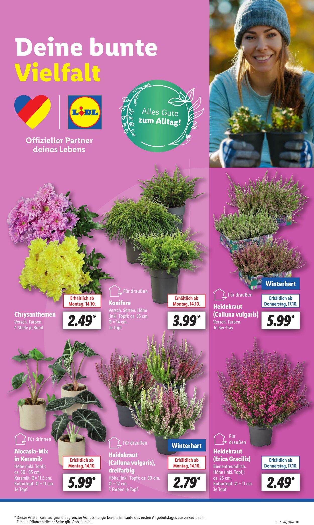 Prospekt Lidl 14.10.2024 - 19.10.2024