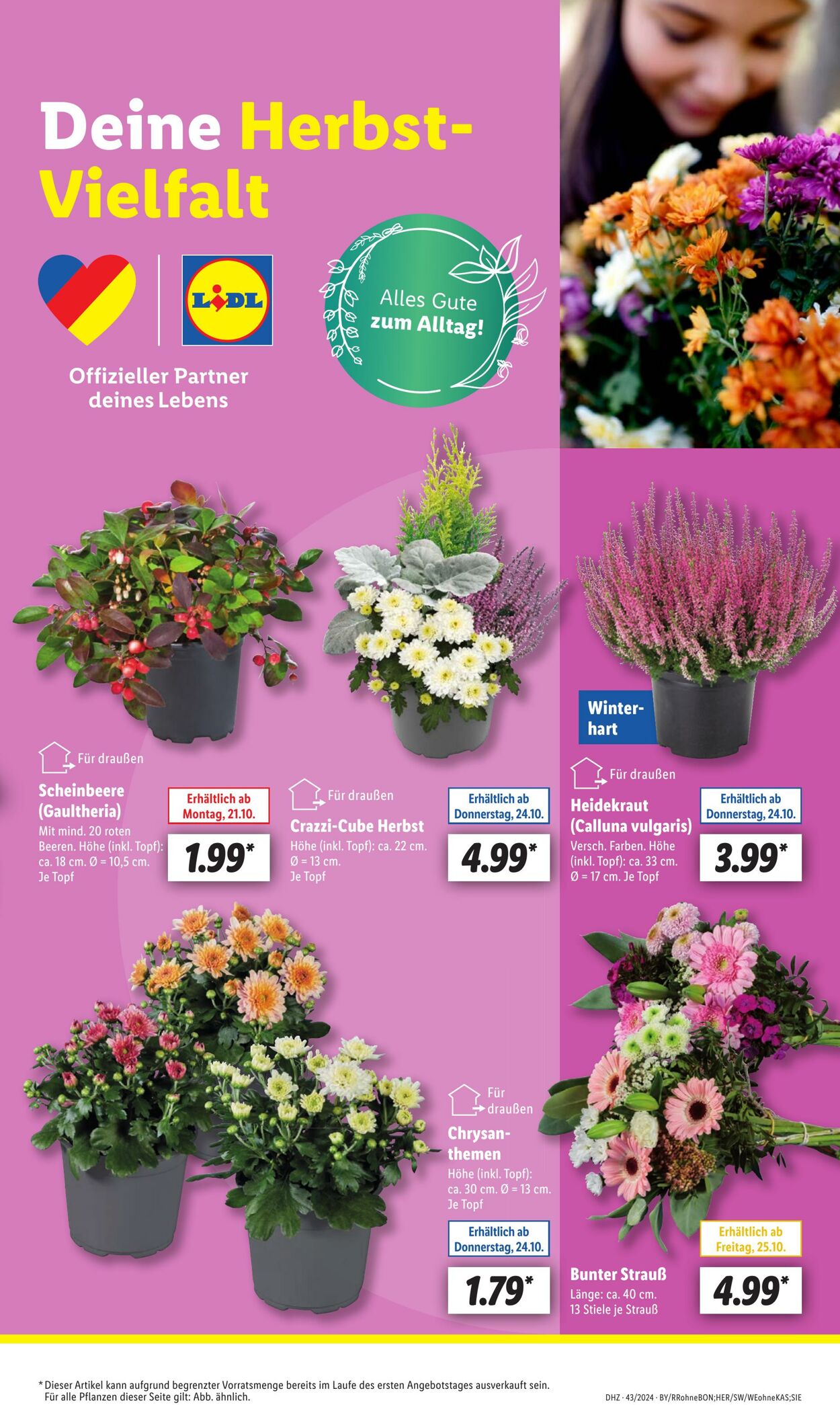 Prospekt Lidl 21.10.2024 - 26.10.2024