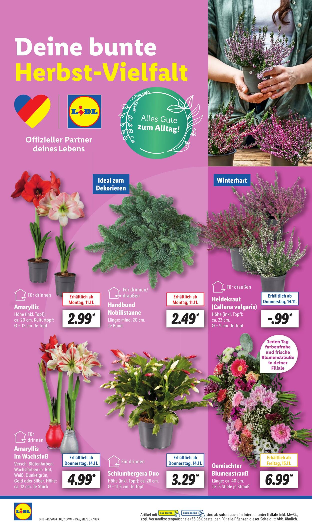 Prospekt Lidl 11.11.2024 - 16.11.2024