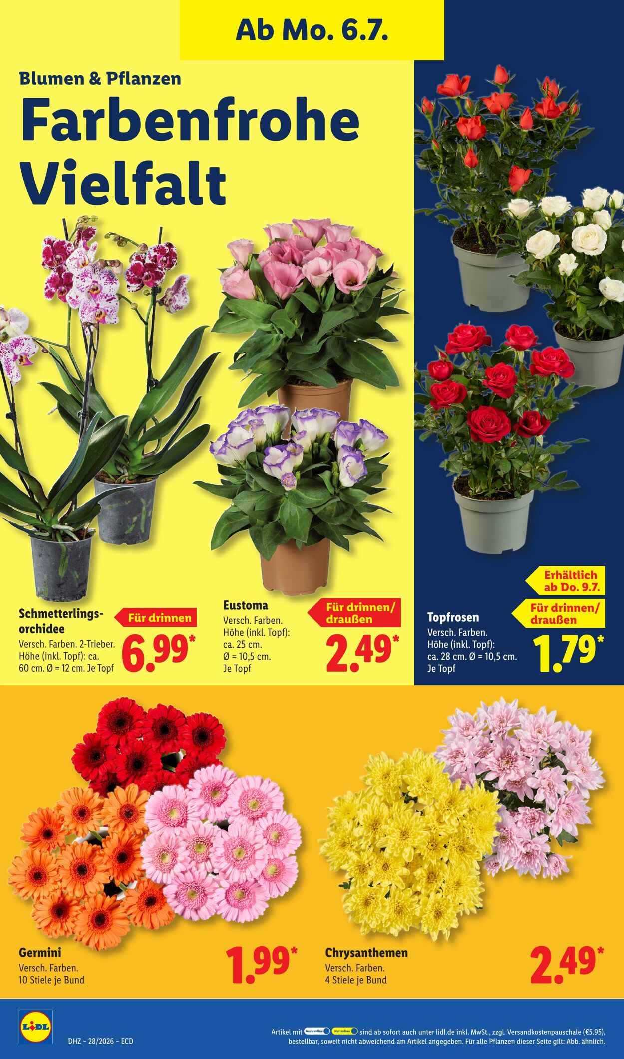 Prospekt Lidl 06.07.2026 - 11.07.2026