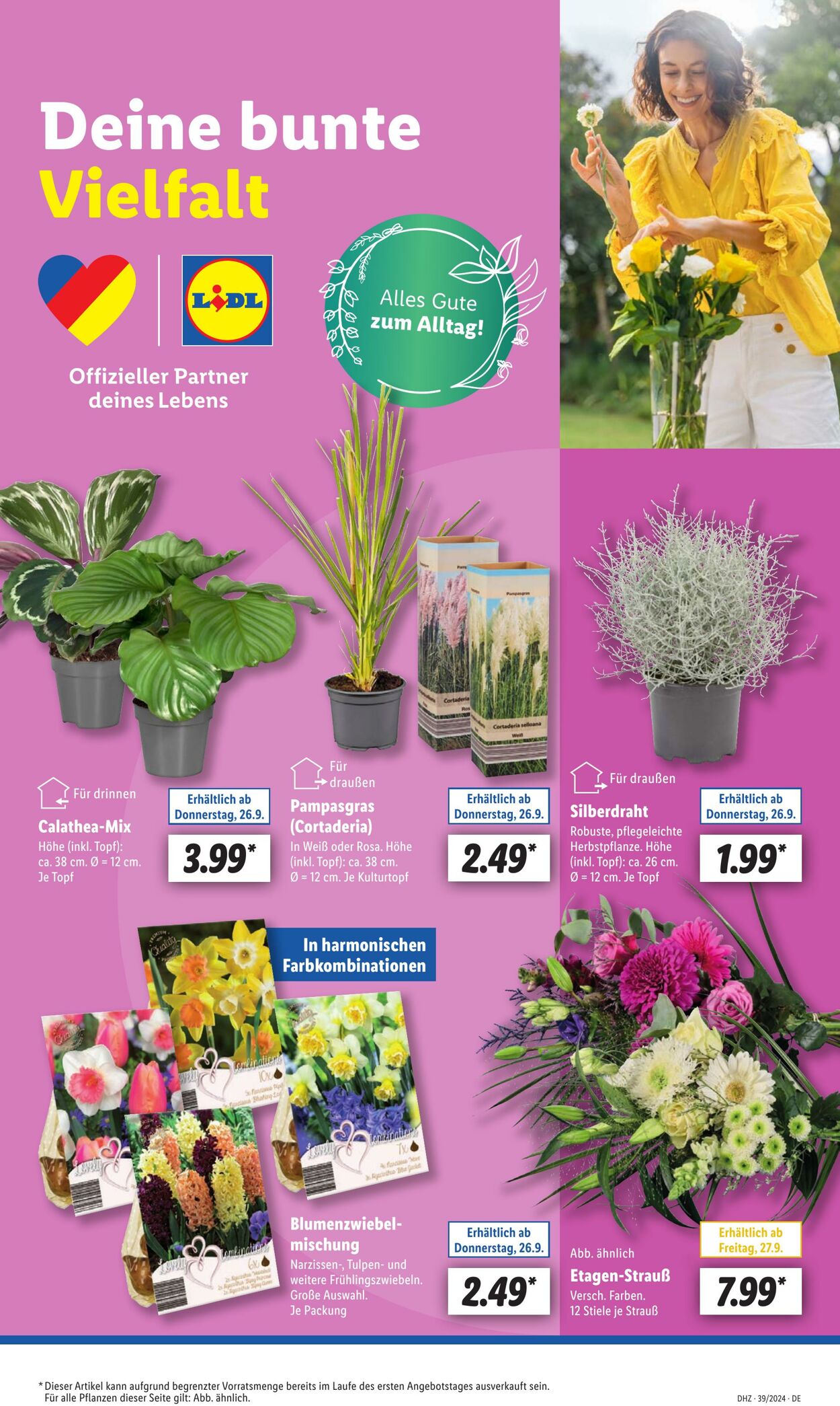 Prospekt Lidl 23.09.2024 - 28.09.2024