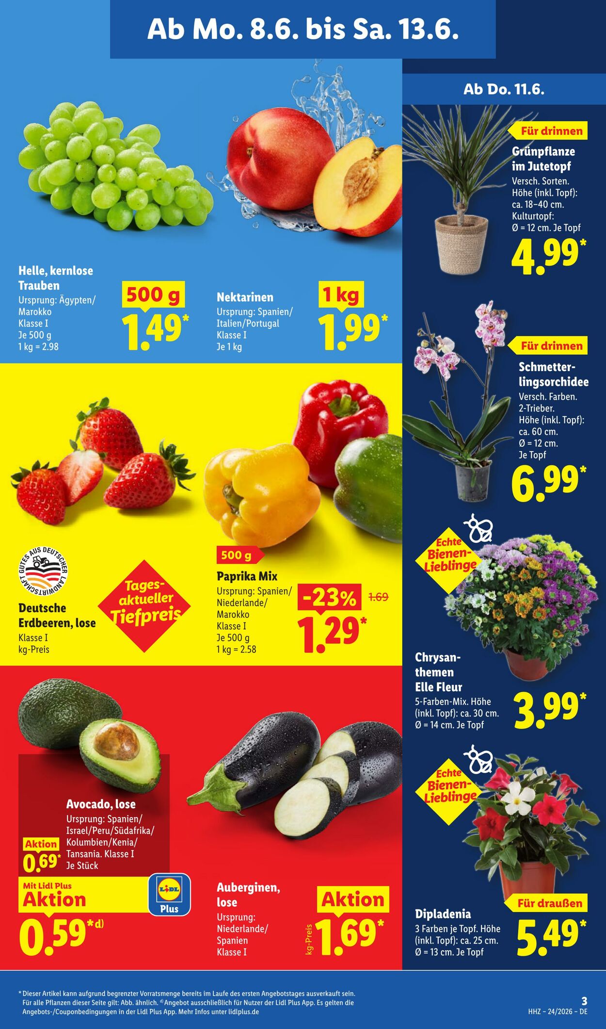 Prospekt Lidl 08.06.2026 - 13.06.2026