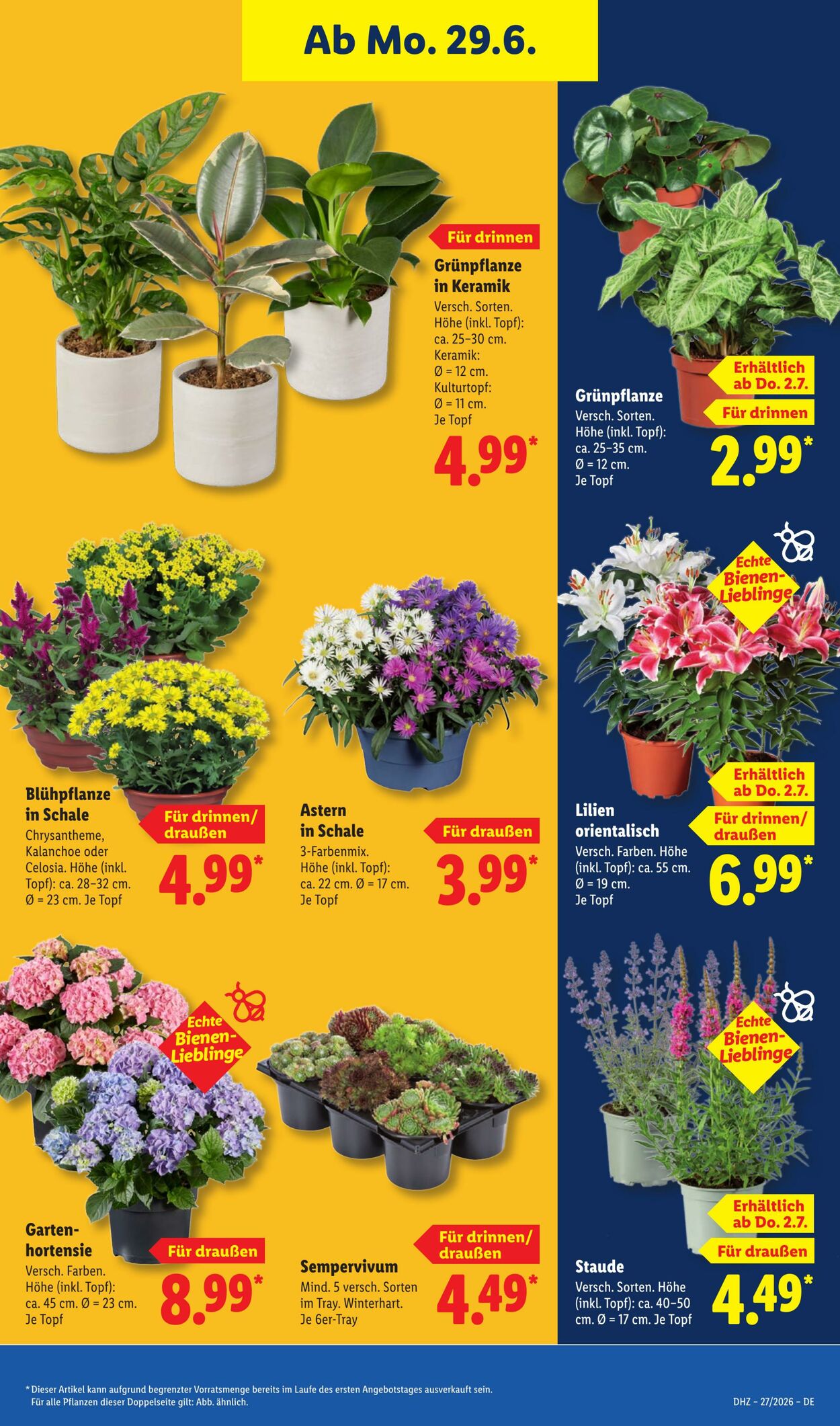 Prospekt Lidl 29.06.2026 - 04.07.2026