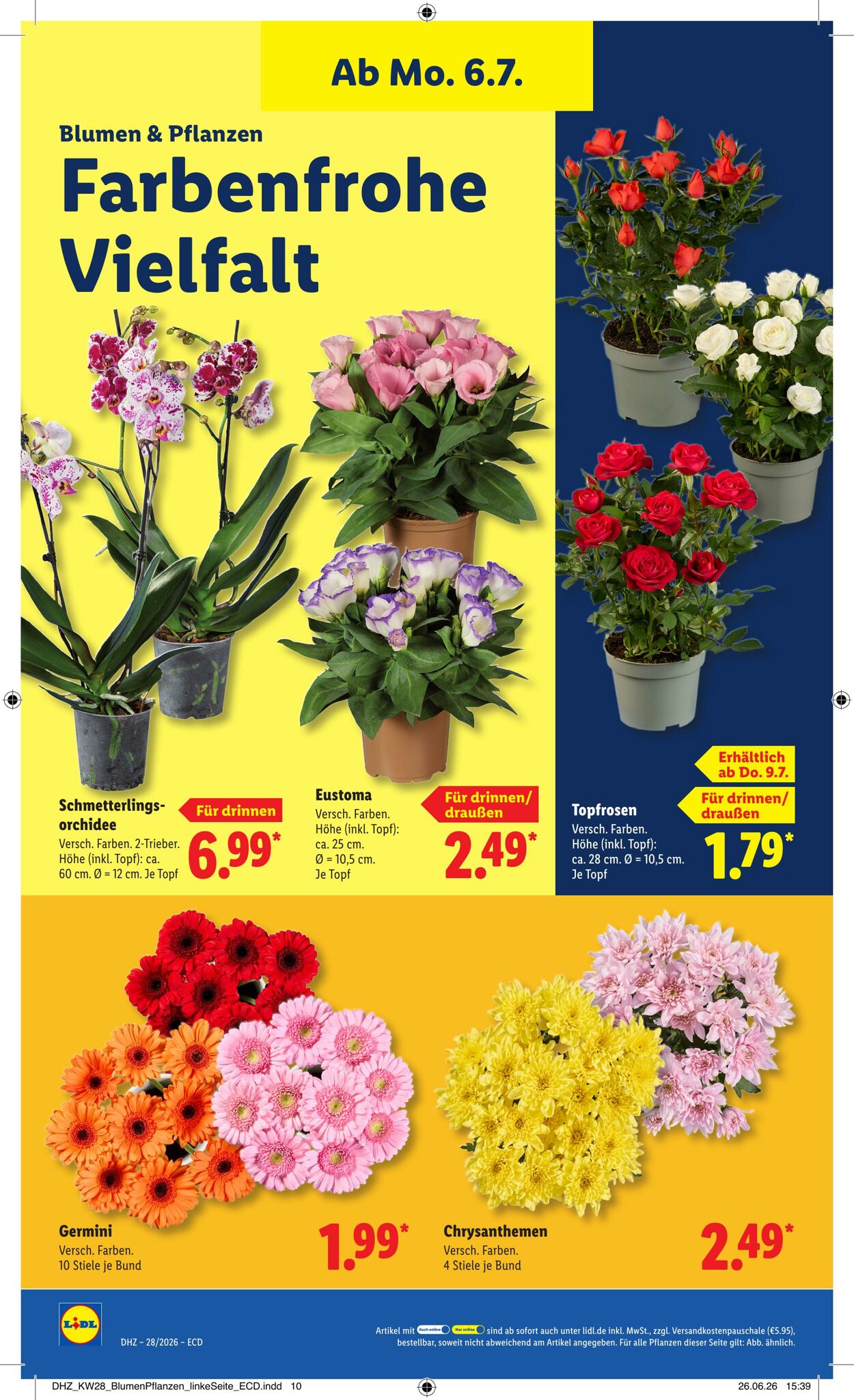 Prospekt Lidl 06.07.2026 - 11.07.2026