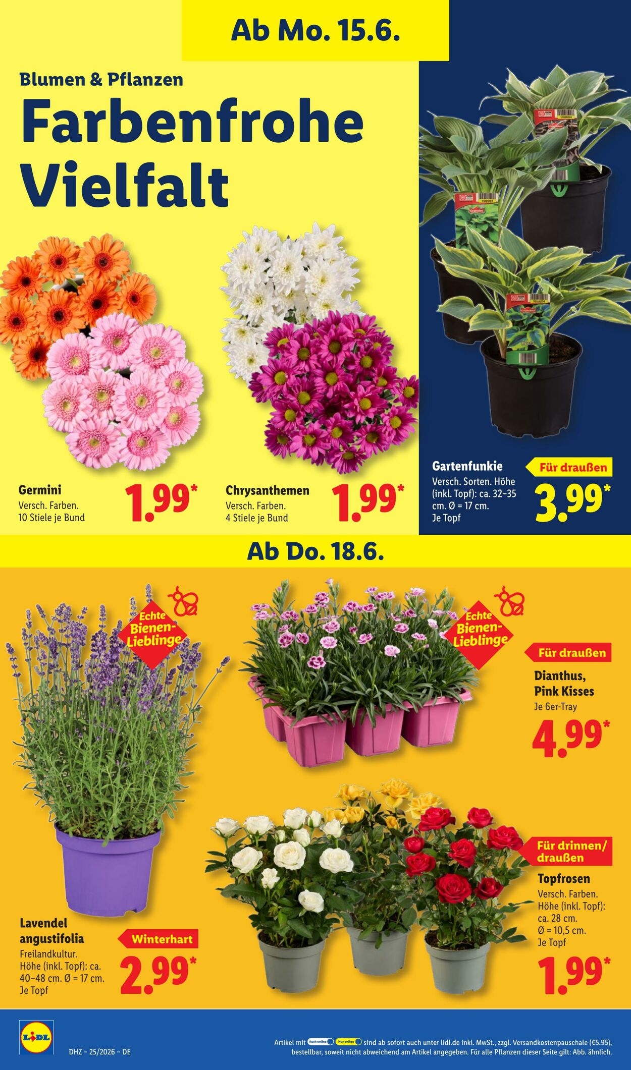 Prospekt Lidl 15.06.2026 - 20.06.2026
