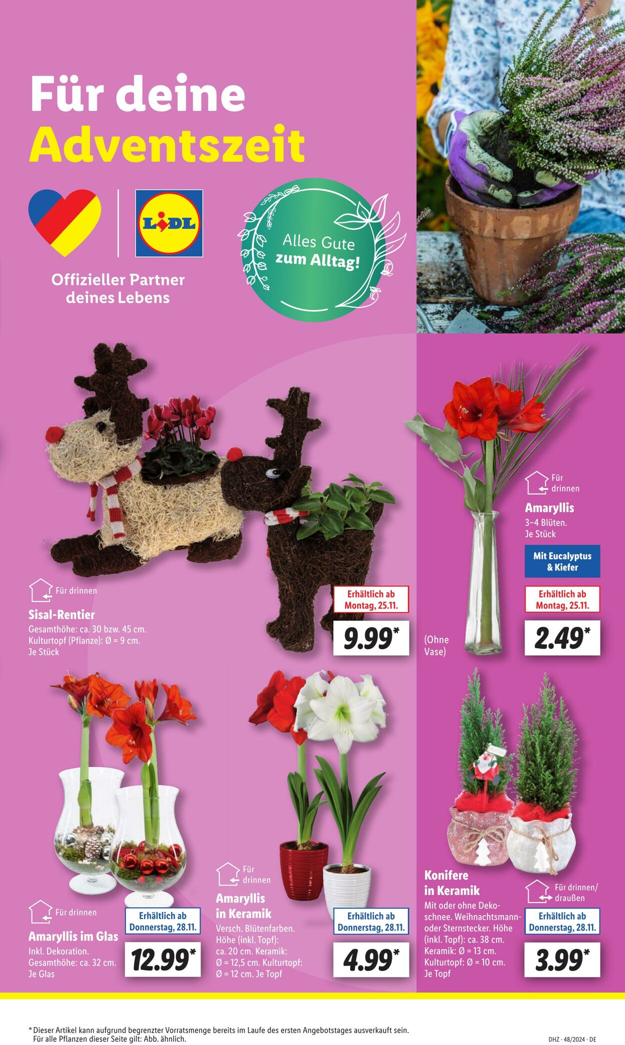 Prospekt Lidl 25.11.2024 - 30.11.2024