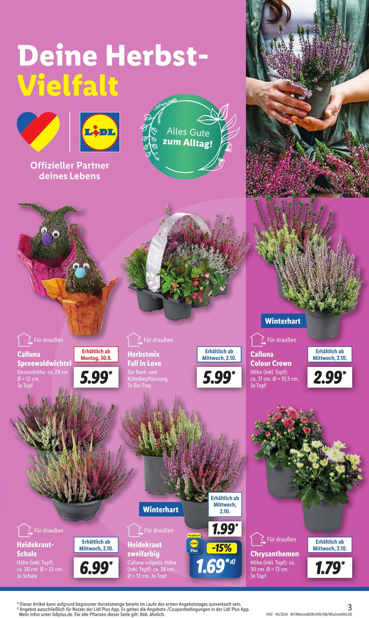 Prospekt Lidl 30.09.2024 - 05.10.2024